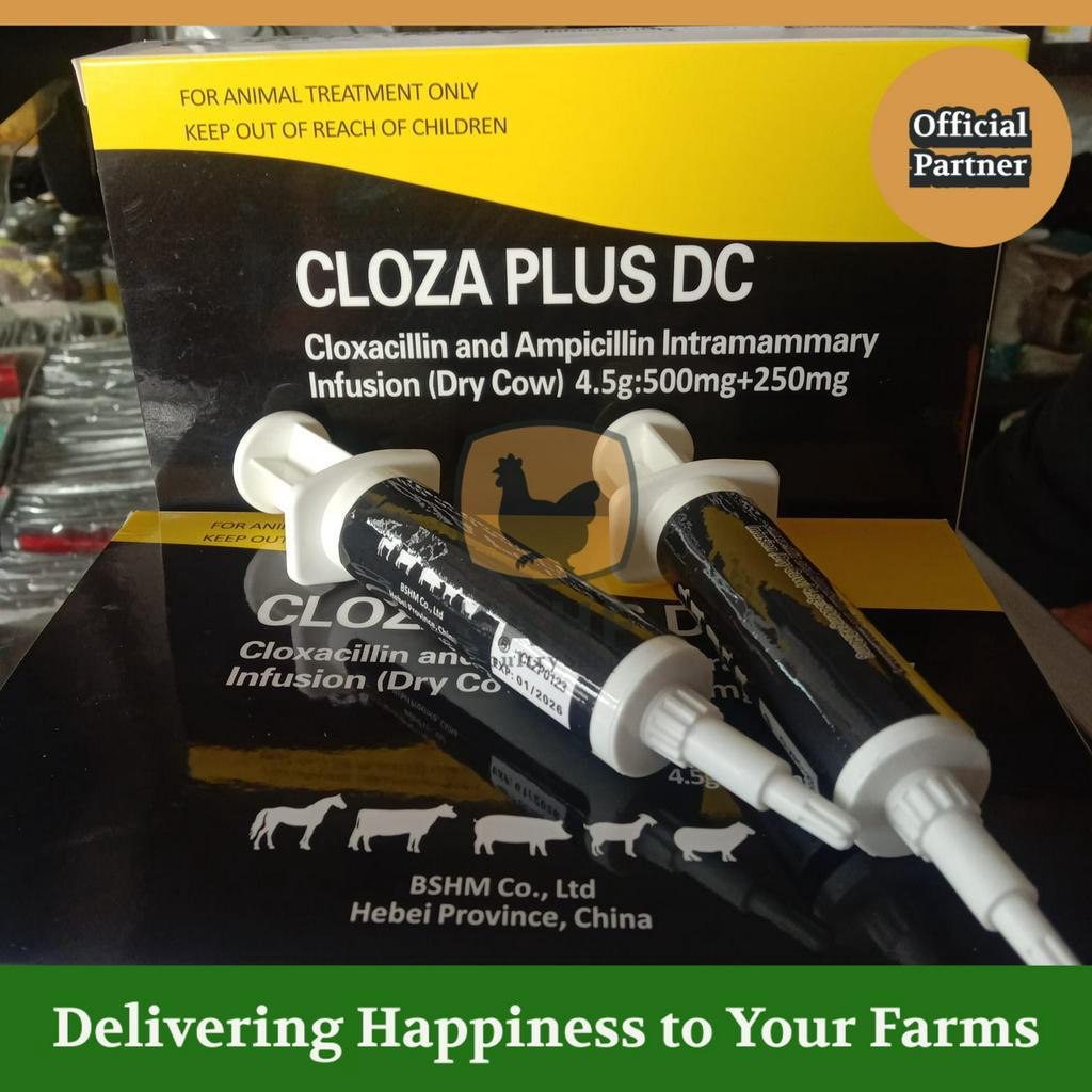 Cloza Plus DC 4.5 gram Obat Mastitis Masa Kering pada Sapi Kambing Pengganti Depolac Biomycin Cloxa