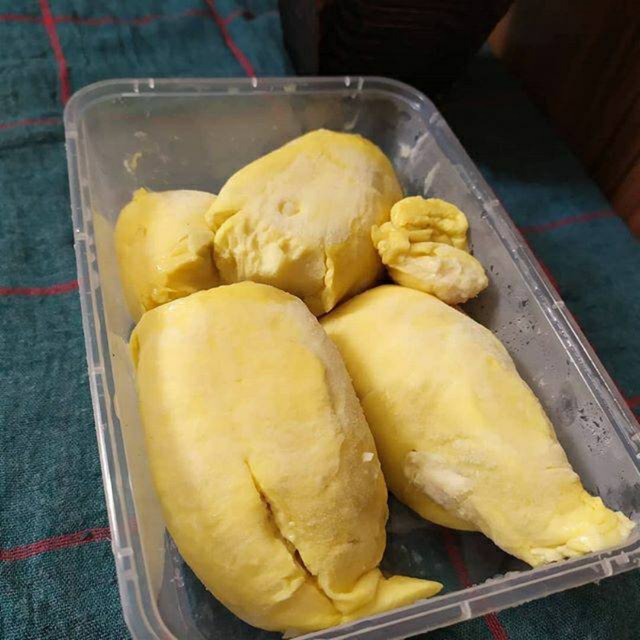 

Durian Palu Monthong