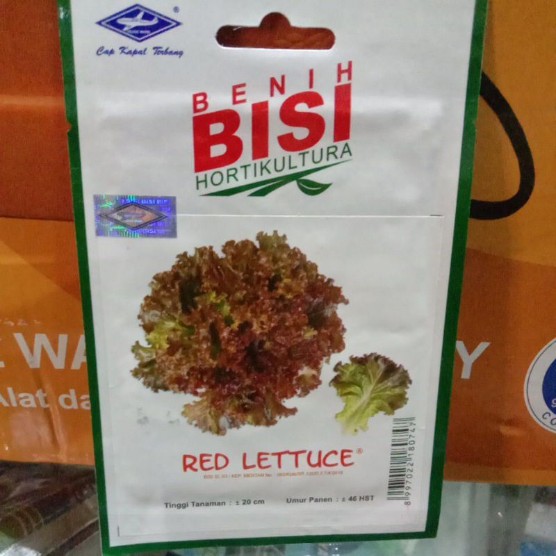 BENIH BISI RED LETTUCE ISI 2000 BIJI