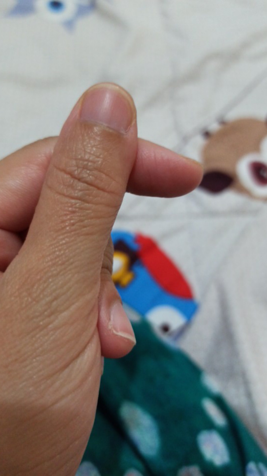 Set Bedcover & Sprei Premium Quality Motif Abu & Coklat