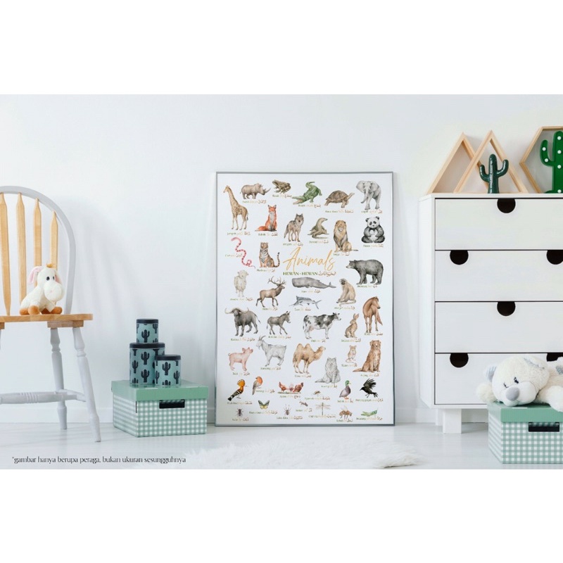 POSTER HEWAN HEWAN BURUNG HEWAN TERNAK BINATANG ANIMALS BRID