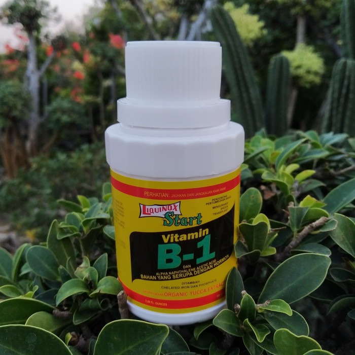 Vitamin B1 Tanaman Pupuk Liquinox 100 ml Pupuk Anti Stres Tanaman