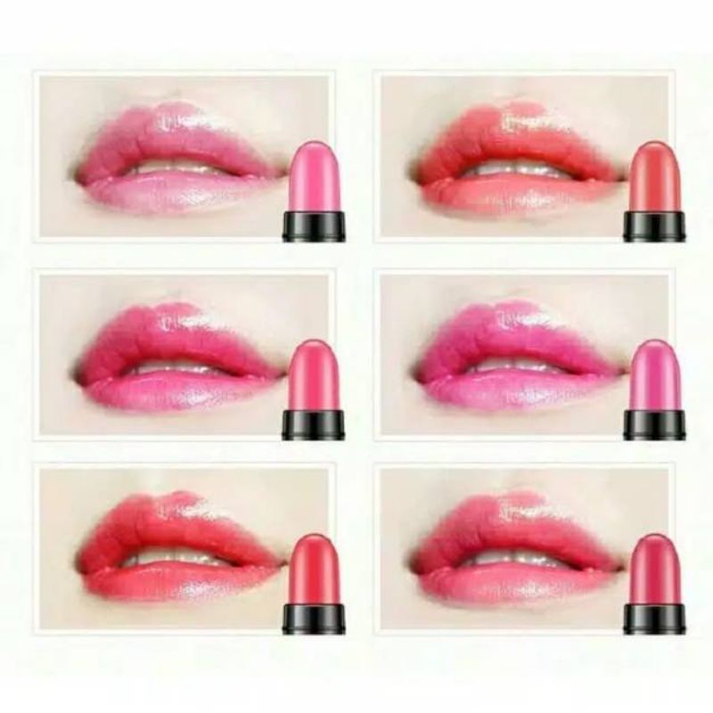 Medan Termurah Set Box Isi 12 Lipstick charm mini isi 12 in 1 Lipstik sample kit