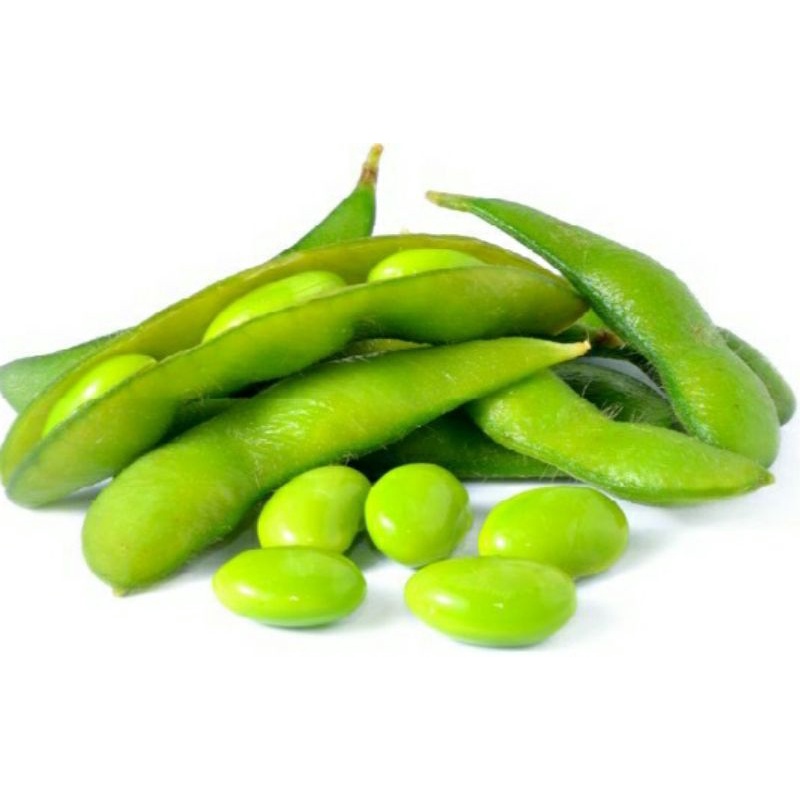 Benih KEDELAI EDAMAME RYOKO 75 kacang kedelai jepang asli kualitas super isi 5 biji