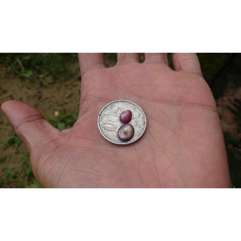 Batu akik RUBY star natural cabochon murah jual Borongan