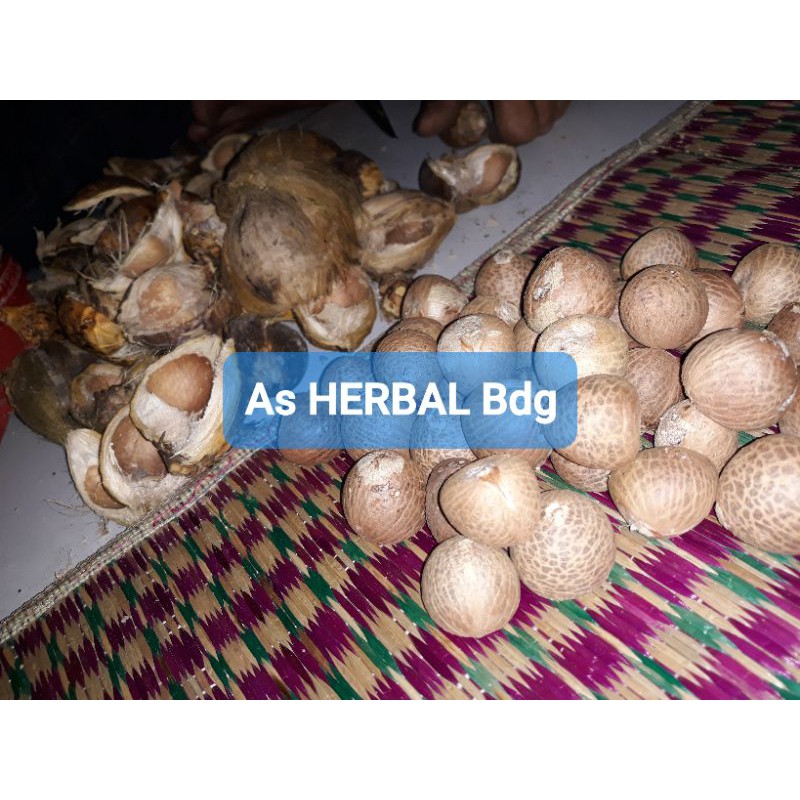 

Biji Pinang Tua 1 Kg / biji pinang asli-az