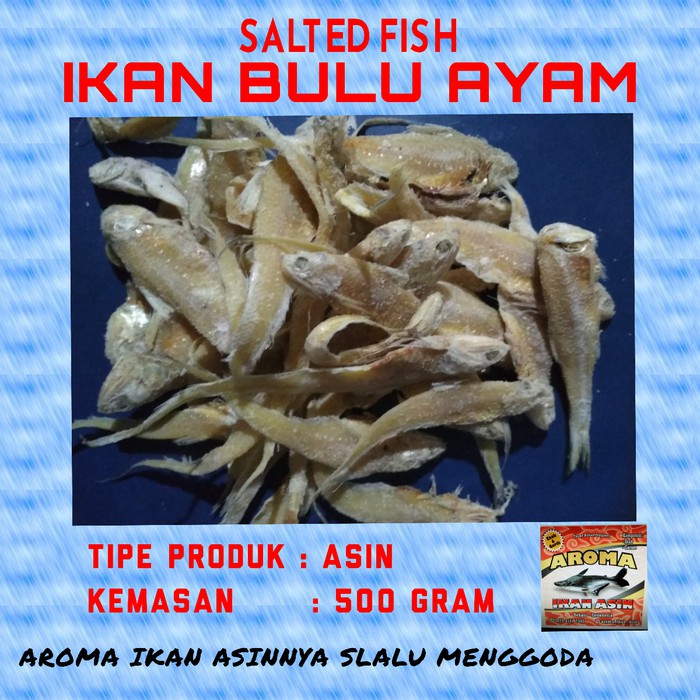 

Ikan Asin Bulu Ayam