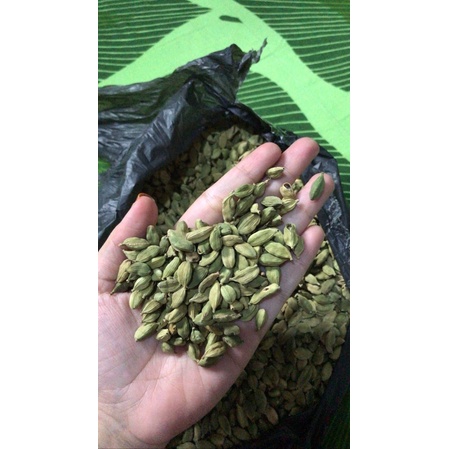 

KAPULAGA INDIA P3 1KG