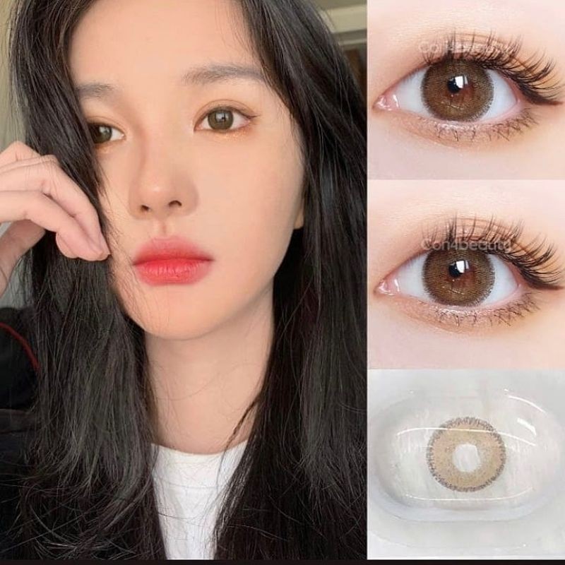 DCL Nobluk brown