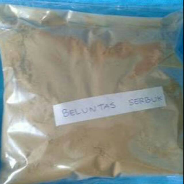

bubuk beluntas/luntas kemasan 100gram