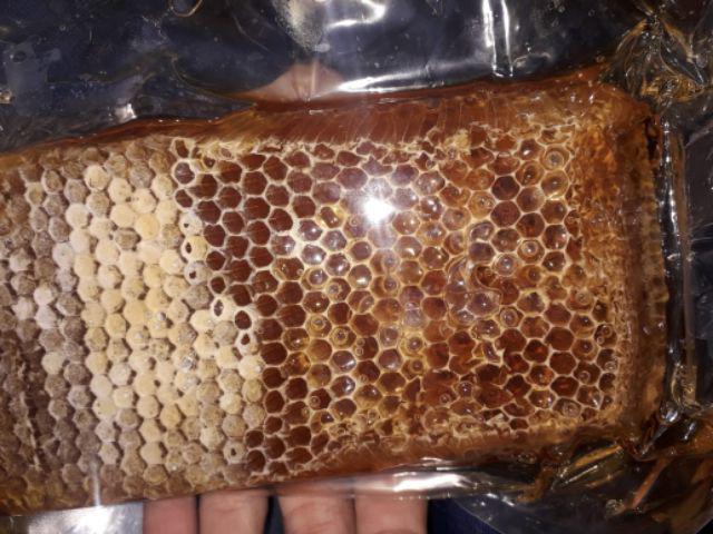 Madu sarang mellifera 500 gram / madu sarang murni