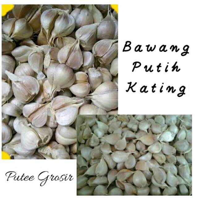 

Bawang Putih Kating Super 1kg