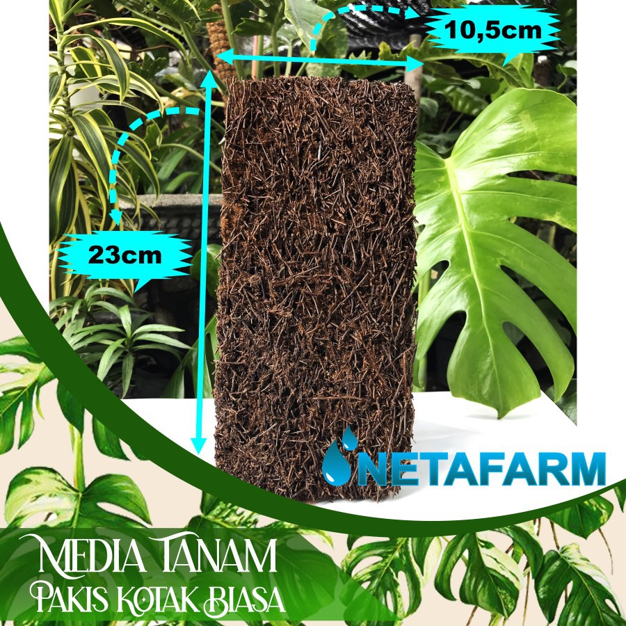 Media Tanam Akar Pakis Kotak ( Lempengan ) - satuan per kotak