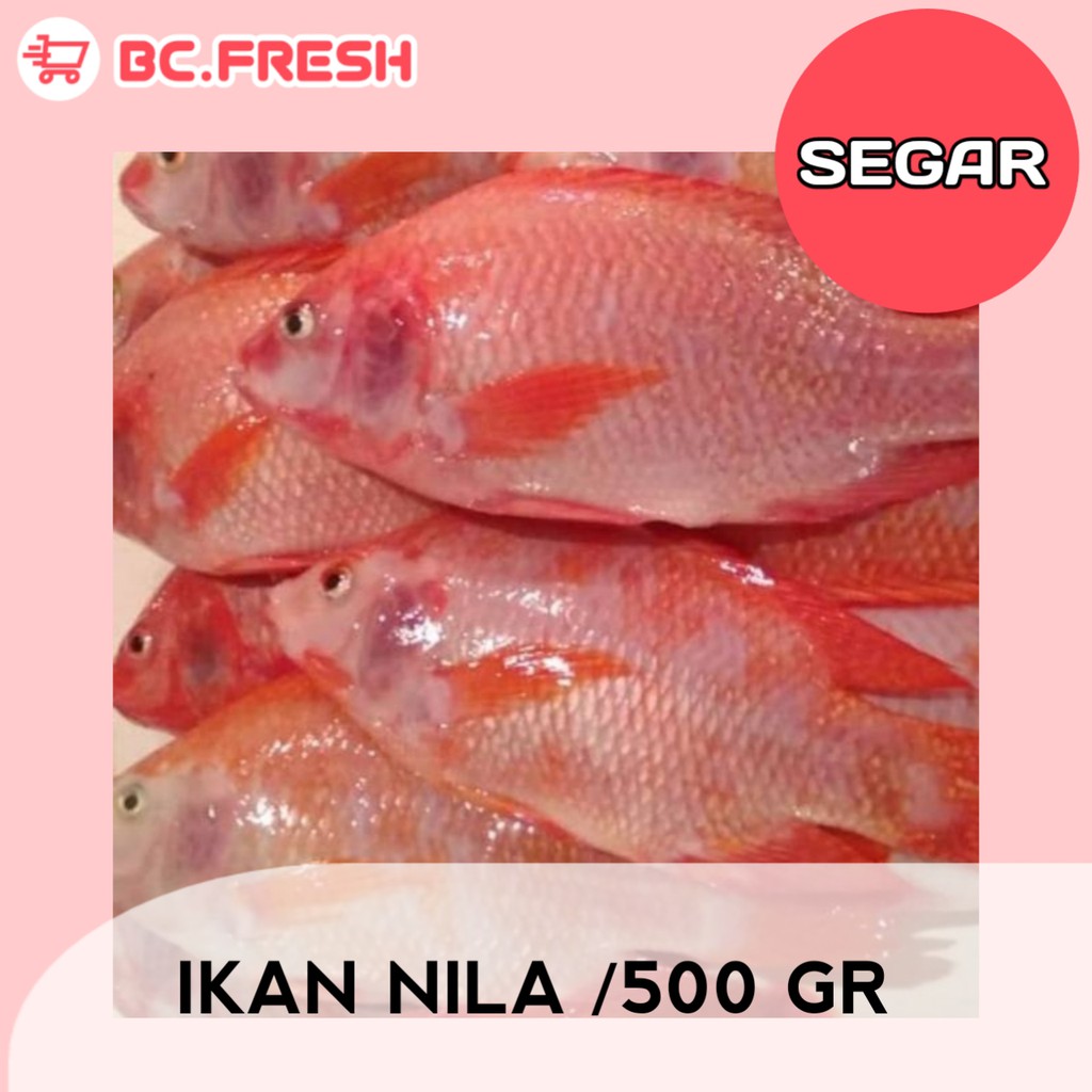 

Ikan nila segar 500 gram