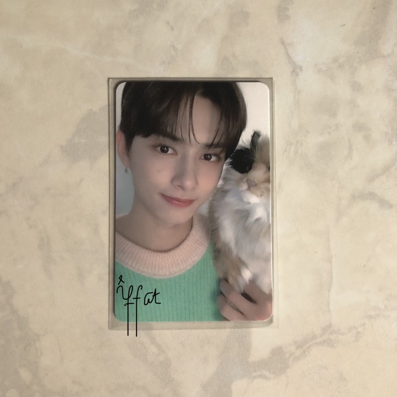 Seasons Greeting Seventeen JUN 2020 - SG JUN