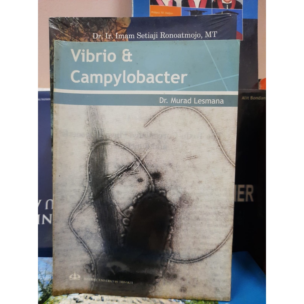 Vibrio & Campylobacter ( DR. Murad Lesmana )