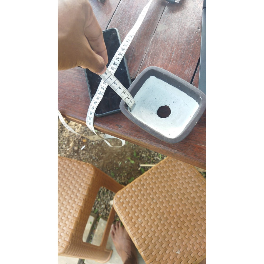 pot bonsai semen kotak