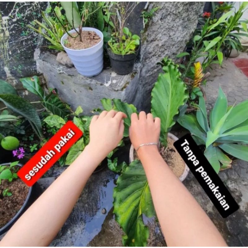 LULUR REMPAH KAYU BANGKAL / LULUR PEMUTIH / KAYU BANGKAL / LULUR VIRAL / LULUR ORGANIK PEMUTIH-6