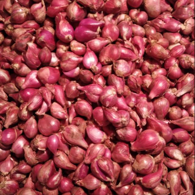 

Bawang merah brebes perkilogram / 1kg