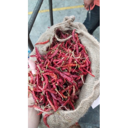 cabe rawit kering 500gr / cabe teja kering 500gr