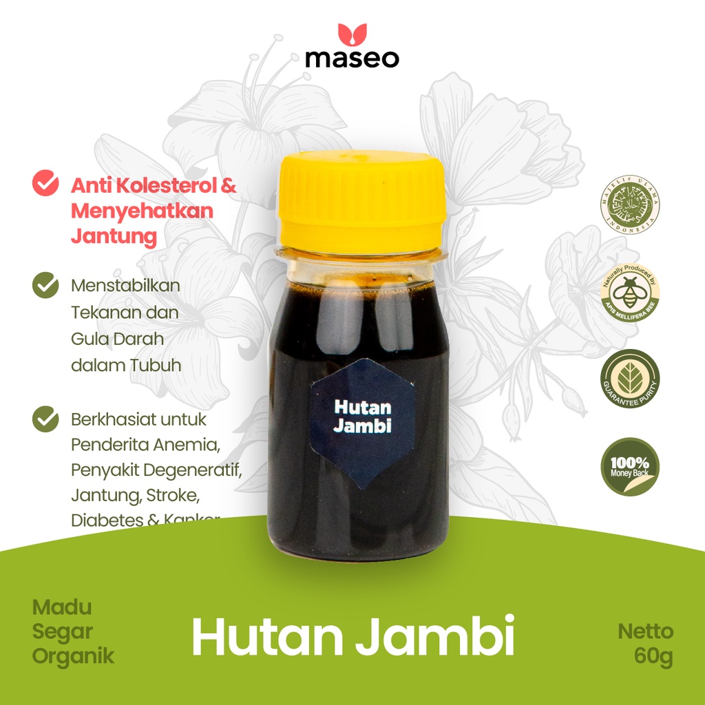 

Madu Hutan Liar Maseo Mini Size 60gr | Madu Asli Madu Murni Organik Obat Herbal Diabetes Stroke Jantung Imunitas Tubuh