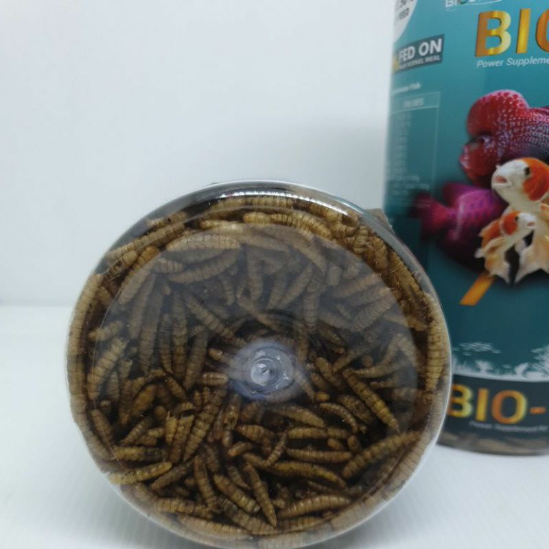 Bio-top Biotop maggot BSF premium/ulat hongkong kering pakan ikan hias