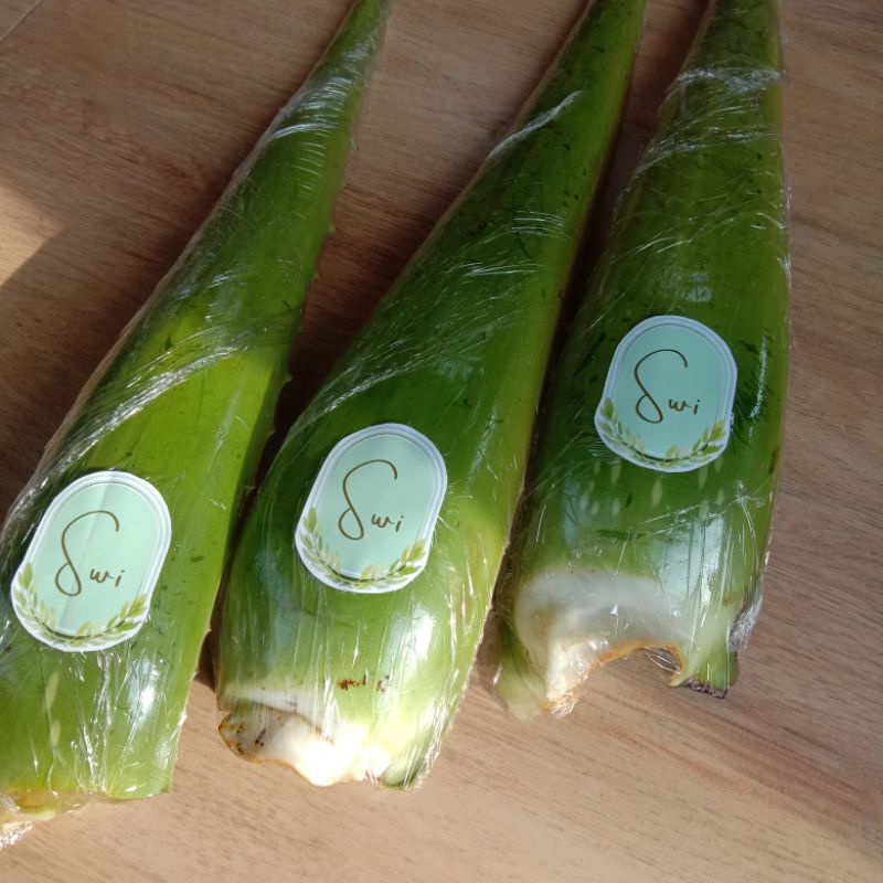 

Lidah buaya