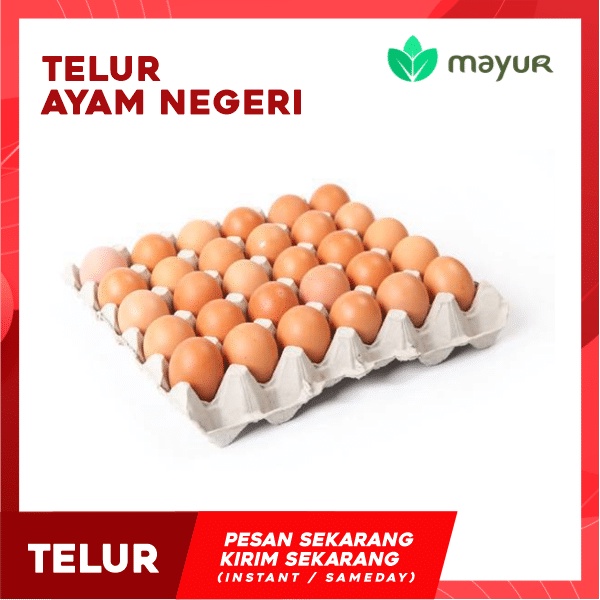 

Telur Ayam Negeri 30 Butir