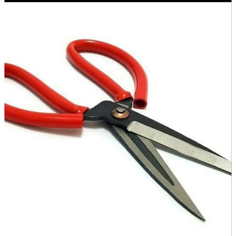 

gunting kodok butterfly