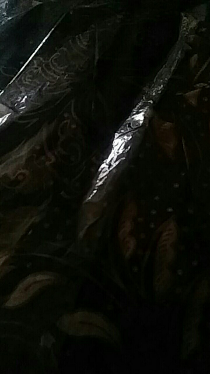 Kemeja Batik Motif Daun Jalar