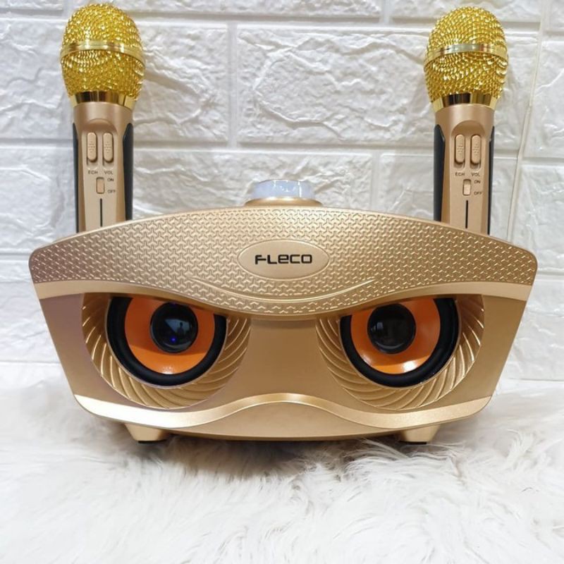 Speaker Bluetooth Wireless Fleco F-306 Free 2 Mic Wireless - Speaker Karaoke Fleco F-306