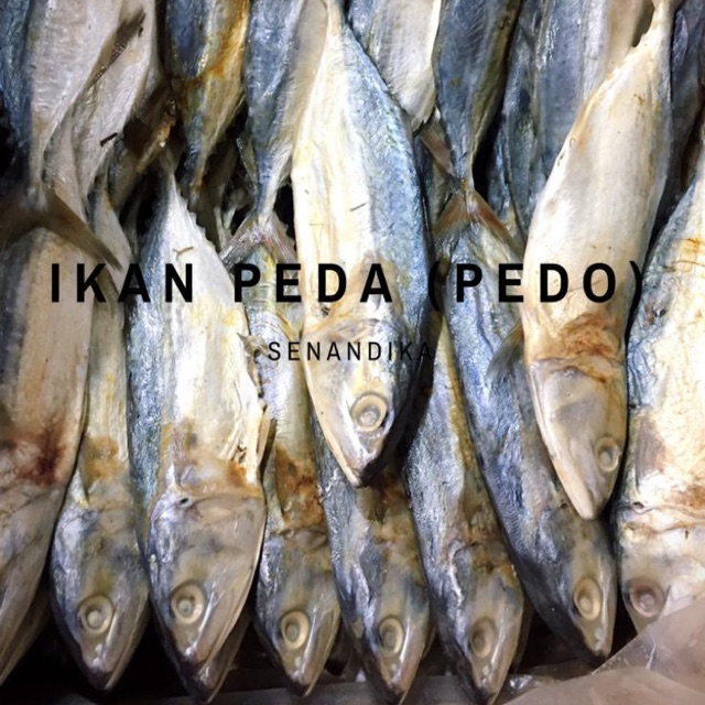 

Ikan Peda per KG