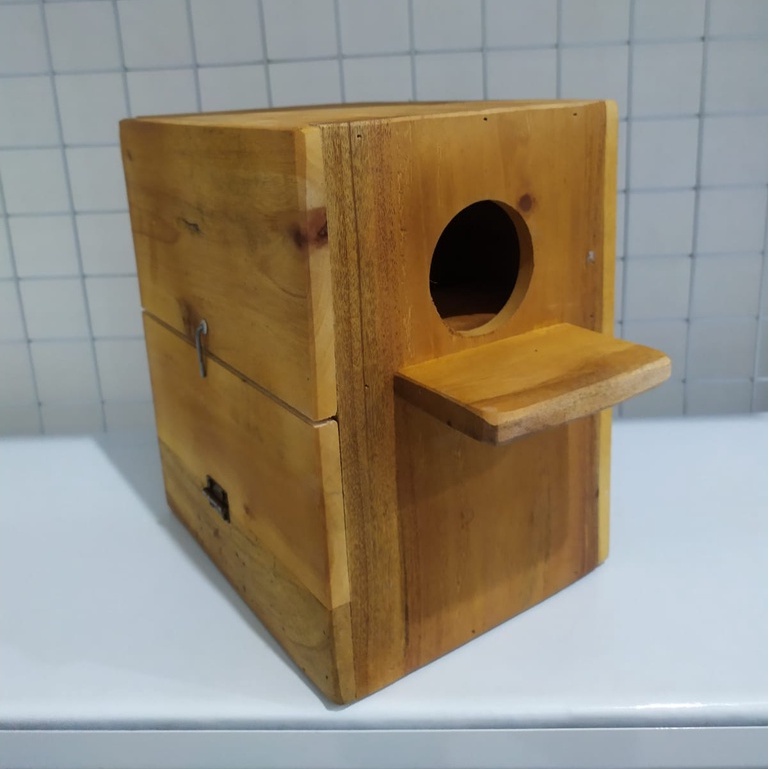 gelodok love bird glodok sarang burung love bird