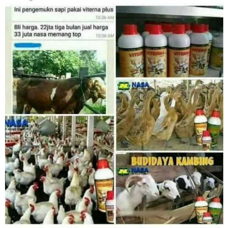 COD - VITERNA PLUS - VITAMIN TERNAK NASA - VITAMIN SAPI KAMBING AYAM BEBEK - VITERNA 500CC - VITERNA