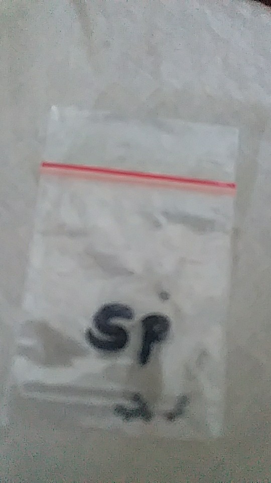 Benih Sawi Putih Panjang (spp)