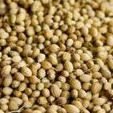

Ketumbar 20 gram