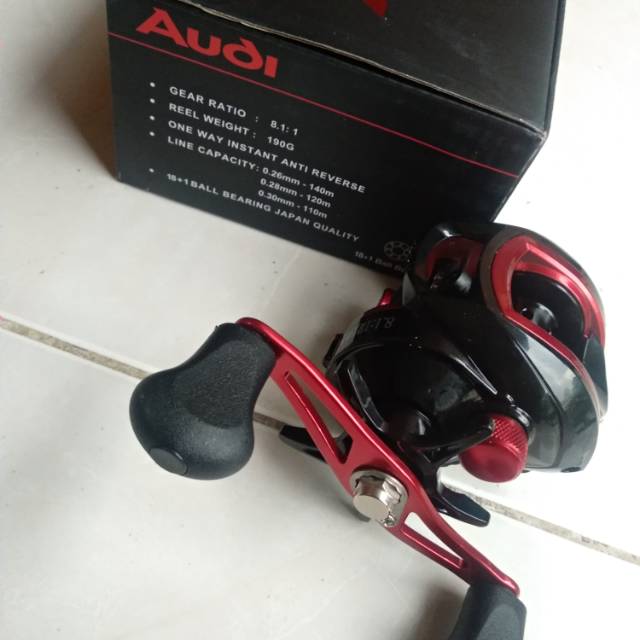 reel lizard audi bc