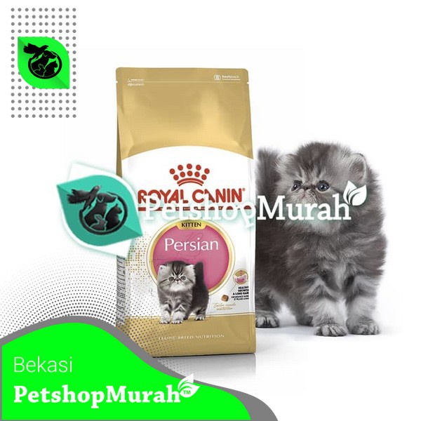 Makanan Kucing Royal Canin Kitten Persian 4 Kg Cat Food