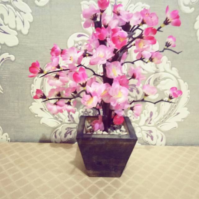 

Bunga sakura