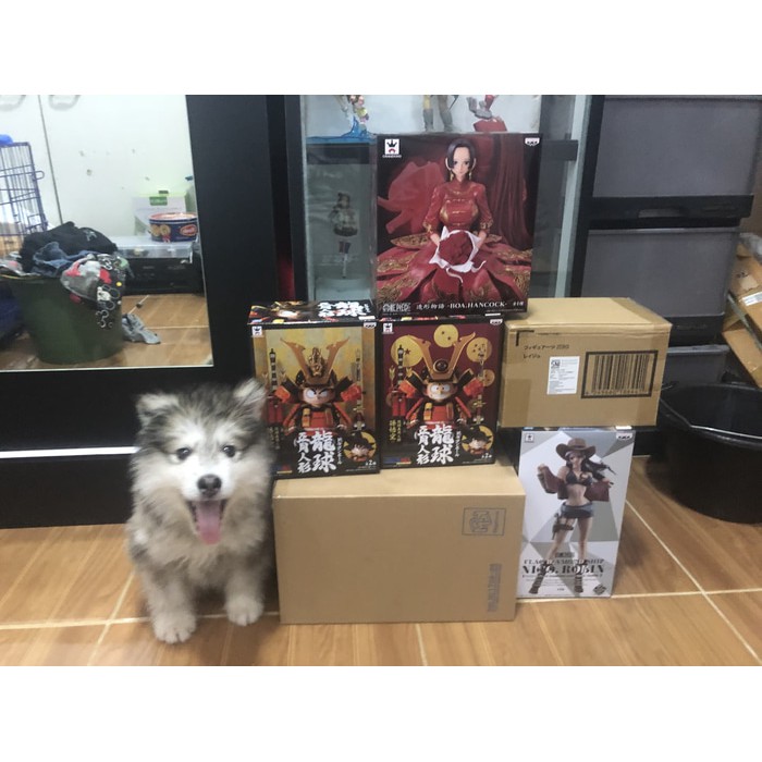 Boa hancock misb