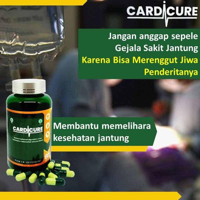 CARDICURE OBAT HERBAL JANTUNG KORONER, HIPERTENSI, STROKE, DARAH TINGGI DAN KOLESTEROL BPOM