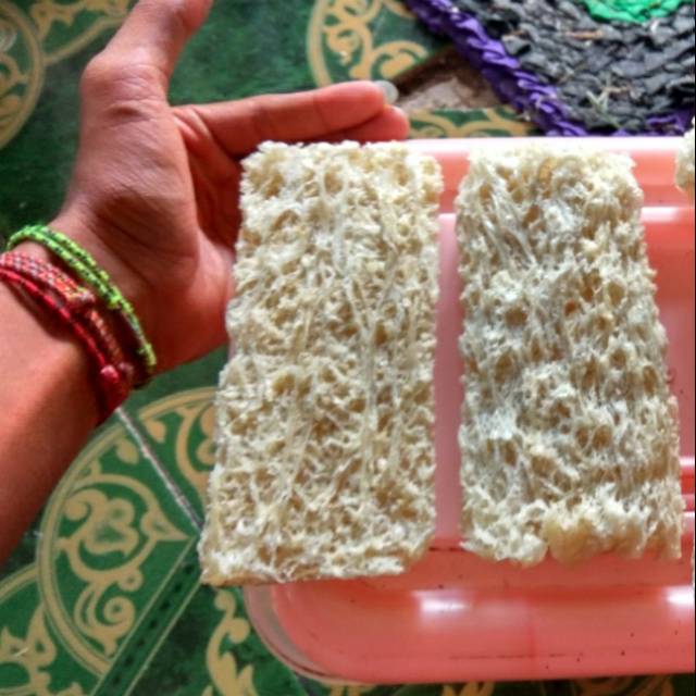 Sarang Sriti kualitas Bagus 100gr
