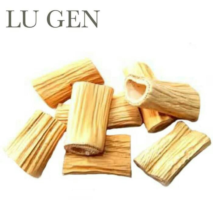 

10 G 50 GR 100 GRAM LU ZHU GEN 芦竹根 RHIZOMA PHRAGMITIS REED RHIZOME