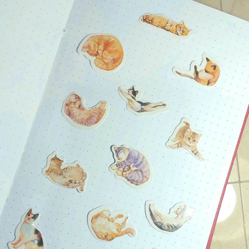 

[SATUAN] Sticker Aesthetic KUCING RANDOM SATUAN Lucu Murah