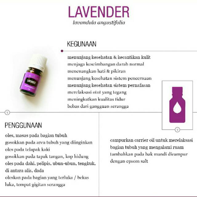 Young Living Lavender Essential Oil (preloved original)  80% - 15 ml