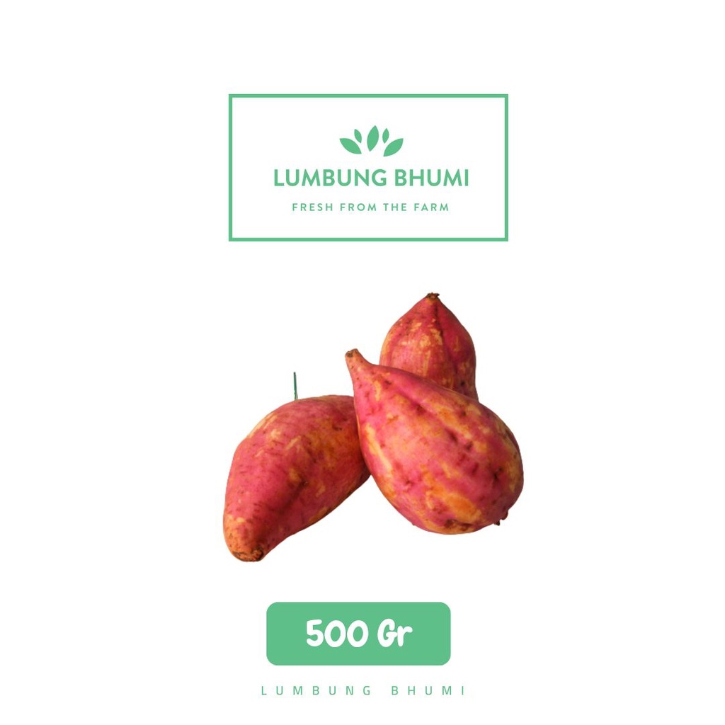 

Lumbung Bhumi - Ubi Jalar Merah 500 Gr ( Sayur Curah )