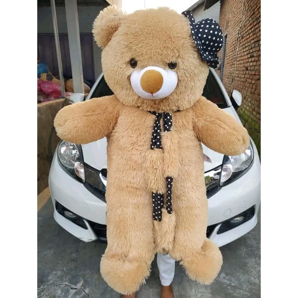 boneka beruang Teddy bear jumbo topi syal 1meter