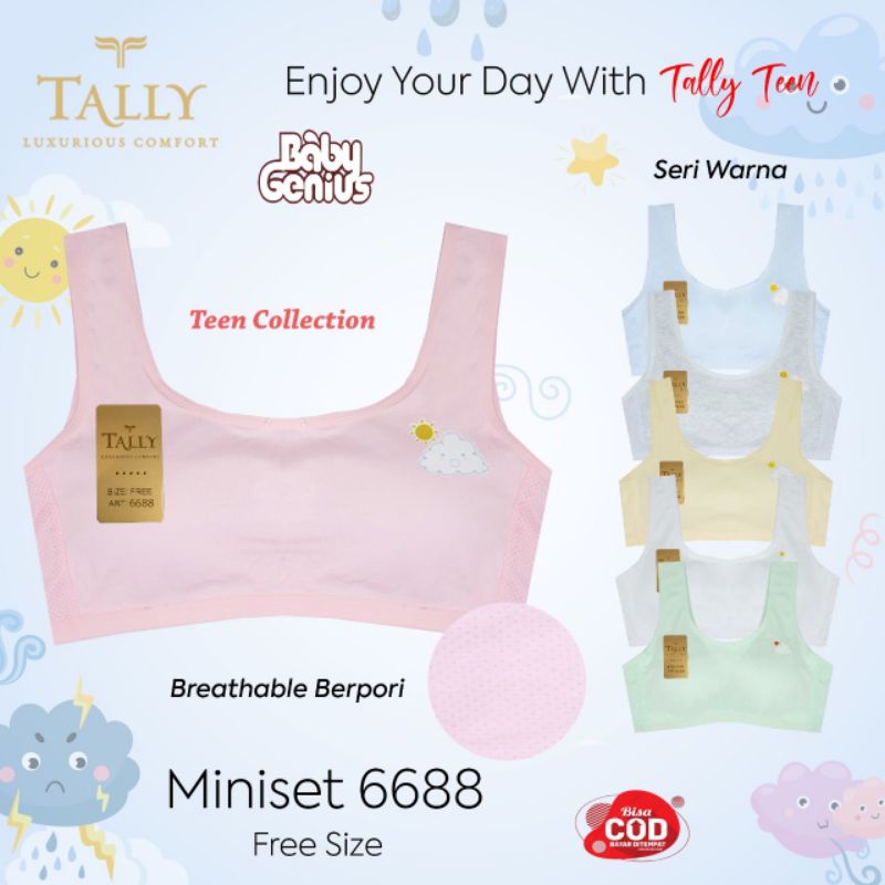 Tally Miniset Remaja