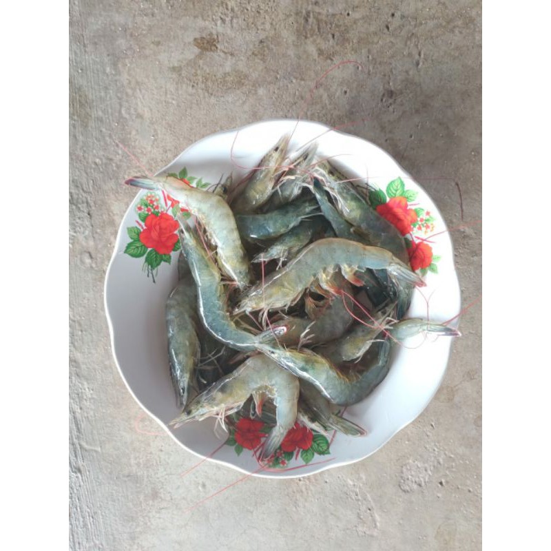 PROMO UDANG KERING /EBIE /HAMIE /EBI GRADE B SINGKAWANG PONTIANAK