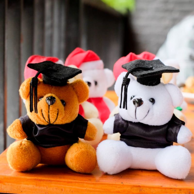 boneka bear beruang wisuda kecil